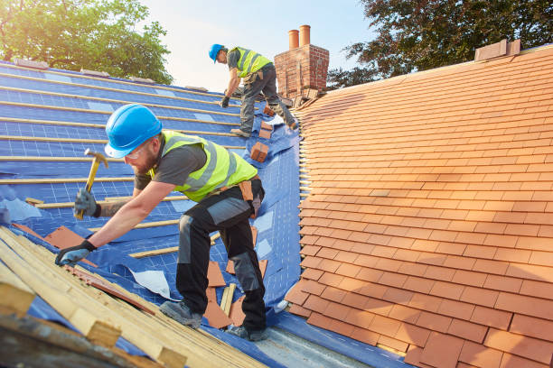 Best Roof Maintenance and Cleaning  in Lake Landor, VA